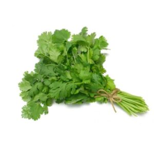 Cilantro