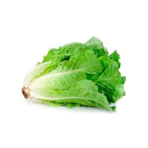 Lechuga Costina (Und)